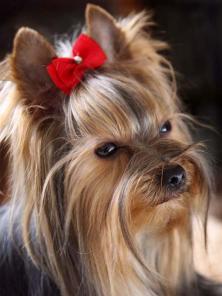 ������� ����� � ����� � ���������,������������� ������