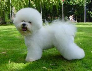 ������� ����� � ����� � ���������,������������� ������