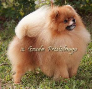 ����������� ���� ����