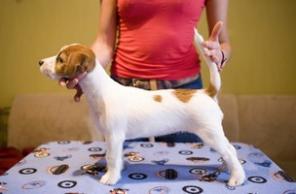 ������� ������ ���� ������ �������