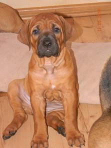 ��������� ����� ����-���