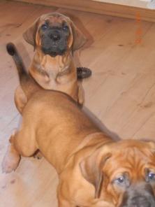 ��������� ����� ����-���