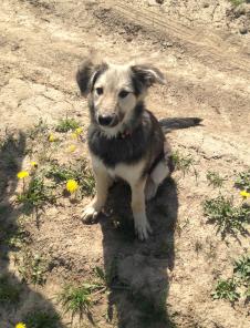 Лера 6 месяцев