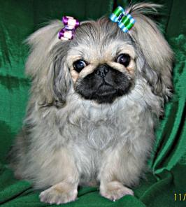 �������� ������� ��������.