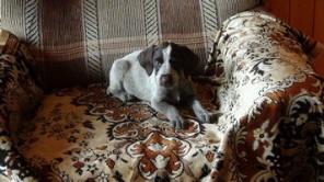 ����� ��������� �� ������ ����� ������ � 2013 ����