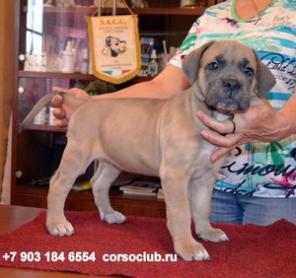 ���� ����� - �������������� ����� � ��������������