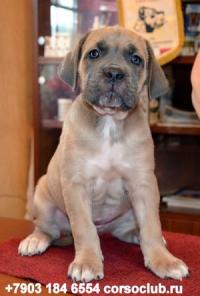 ���� ����� - �������������� ����� � ��������������