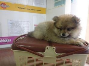 ������������ � �������