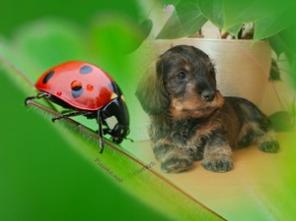 ����� ����� ��������� ��������������