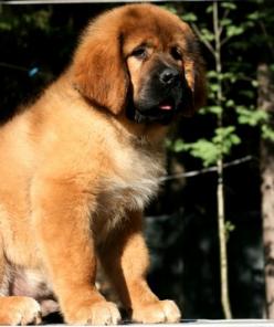 ��������� ������