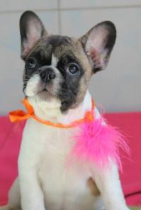 ������������ �������� ������� ����� ������ ������