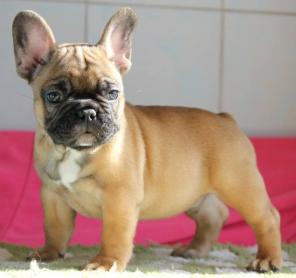 ������������ �������� ������� ����� ������ ������