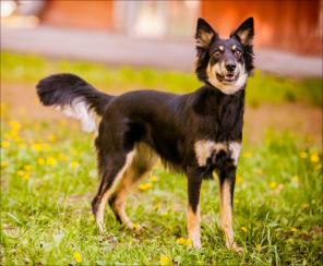 ������ � ��� � �������� ������ ����