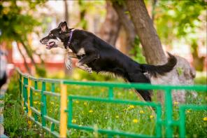 ������ � ��� � �������� ������ ����