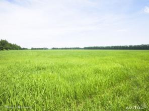 �������� ������� 10 ���. (���)