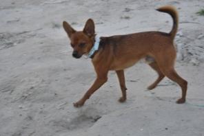 ������� ������