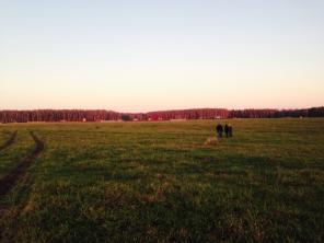 ������ ��������� ������� 8 ����� ��� ������������� ����, � 50 ��. �� ���� �� ����������������  �����, ����� �. �������.