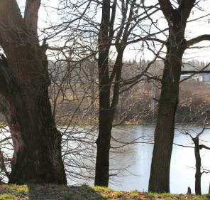 ������ ��������� ������� 8 ����� ��� ������������� ����, � 50 ��. �� ���� �� ����������������  �����, ����� �. �������.