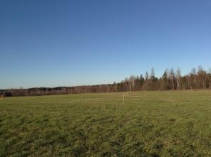 �������� ������� 8 �����, ������� ���������� ����� ����, �������� �� �. �������.