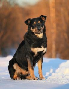 ������, ������� ������������� ��������-��� � ���