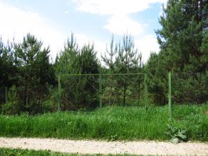 ������� 16 ����� �� ���������������� �.