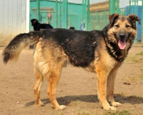 �����, ����� �������. C����� � ������ ����.