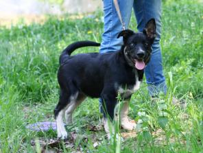 ������������ ����� ���� ��� �������!