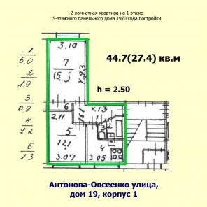 Антонова Овсеенко 29 Варикоза Нет