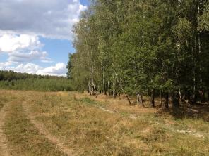 ������� � ������� ��������� �����