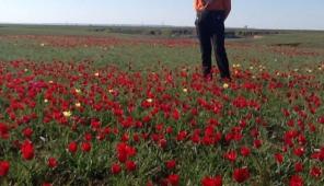 ��������� ������� ��� ������� ����������