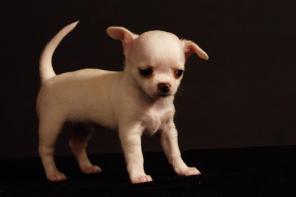 �������� ������