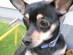 ���������� ������ ��� ������