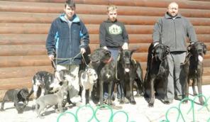 ����� ��������� ����. ��������