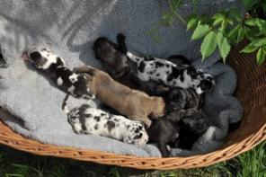 ����� ��������� ����. ��������