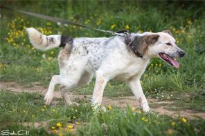 ����� -������ ��� � �����!