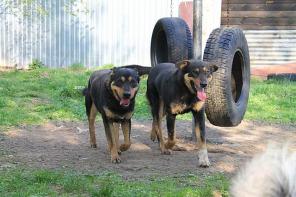 ������ ���������� ������ � ������ � ������ ����.