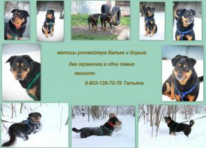 ������ ���������� ������ � ������ � ������ ����.