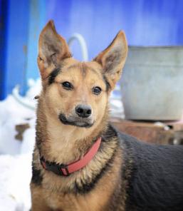 ������- �������� � ���������� � ��� ������� �����