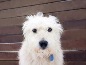 ��������� � ������ �������� ��������� ������ ����� � ������ ����