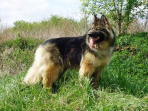 ����� � �������������� �������