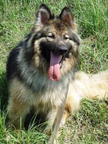 ����� � �������������� �������