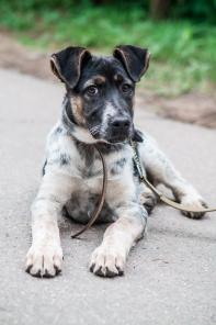 ����� ���-������� 3������