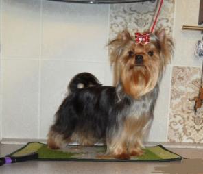 ��� �����