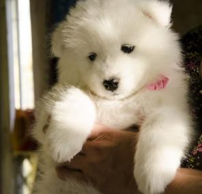 ��������� ����� �������!