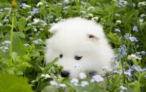 ��������� ����� �������!