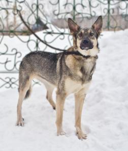 ������ �����