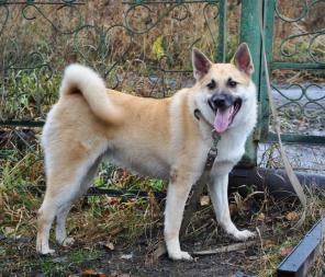 ������ �����