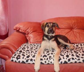 ����� � ��� ����� �����������.