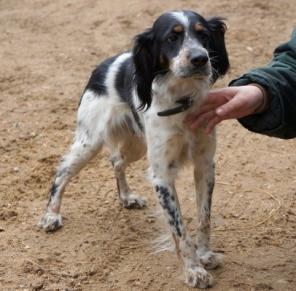 ���, �������  �������� � ���