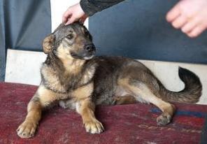 �������������� ��� ���� ���!